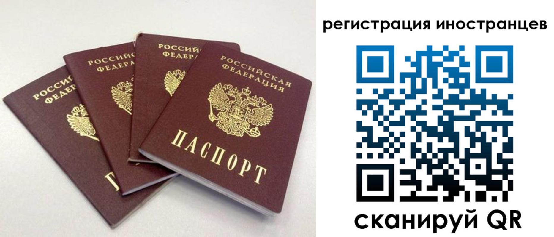 временная регистрация для школы в Ульяновской области